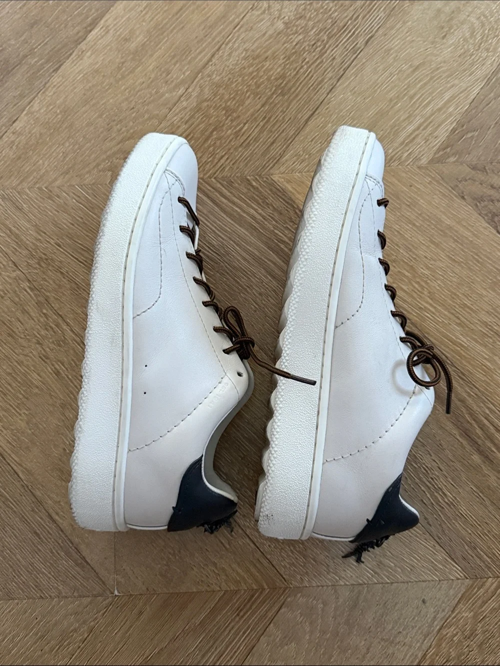 Coach low top sneakers